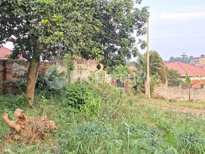 Land for sale Namugongo road  Kampala Central Kampala Central - 4