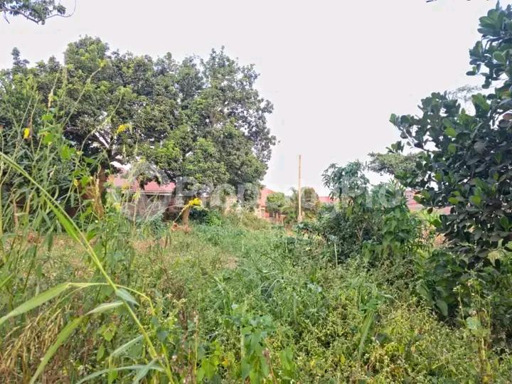 Land for sale Namugongo road  Kampala Central Kampala Central - 2