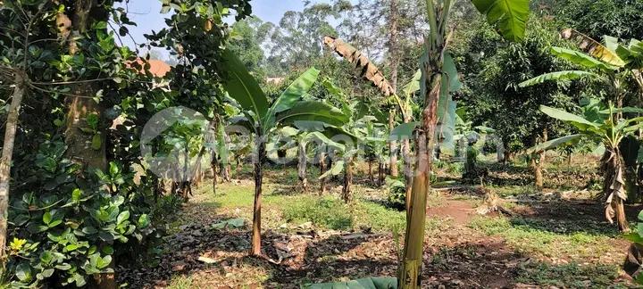 Land for sale Kira  Kampala Central - 0