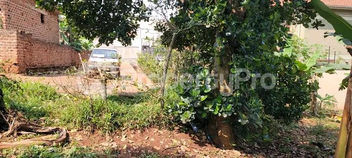 Land for sale Kira  Kampala Central - 3