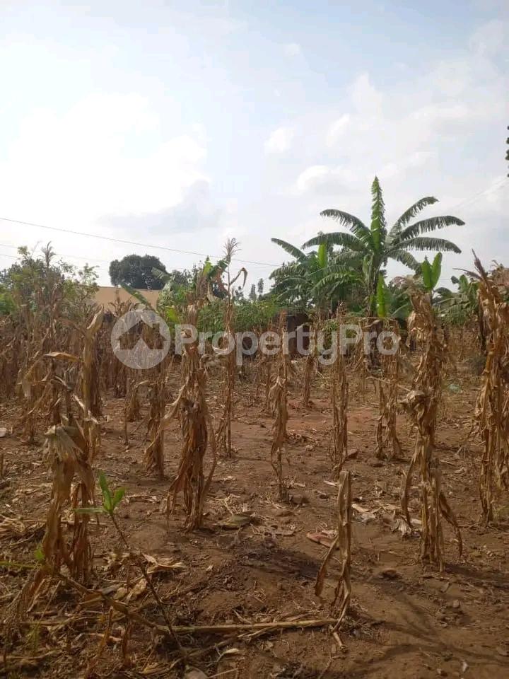 Land for sale Kasangati nangabo  Kampala Central - 2