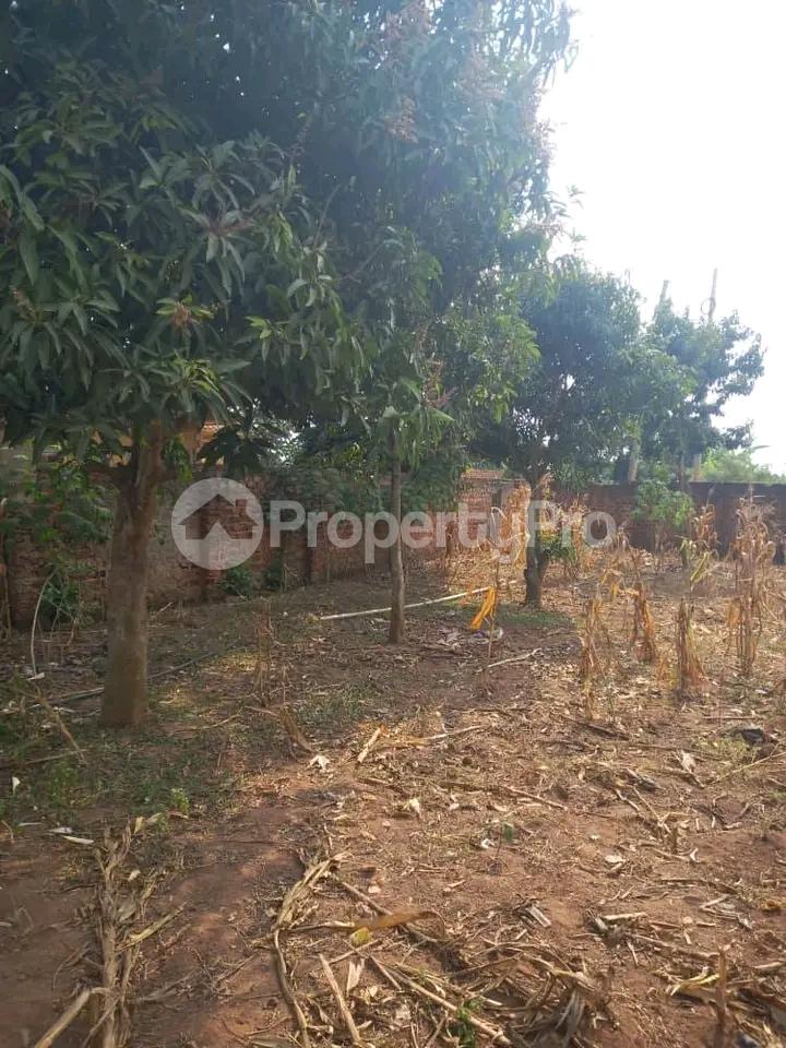 Land for sale Kasangati nangabo  Kampala Central - 3
