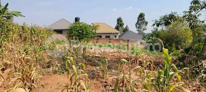 Land for sale Kasangati nangabo  Kampala Central - 5