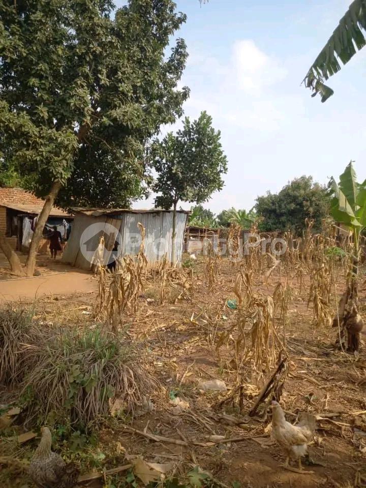Land for sale Kasangati nangabo  Kampala Central - 4