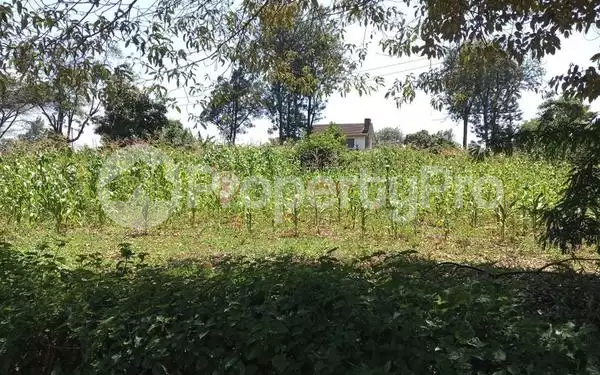 Land for sale Ridgeways Nairobi