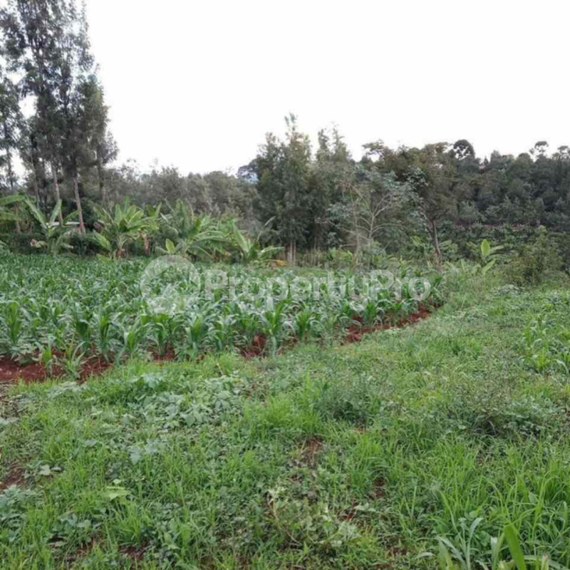 Land for sale Kiambu Kiambu