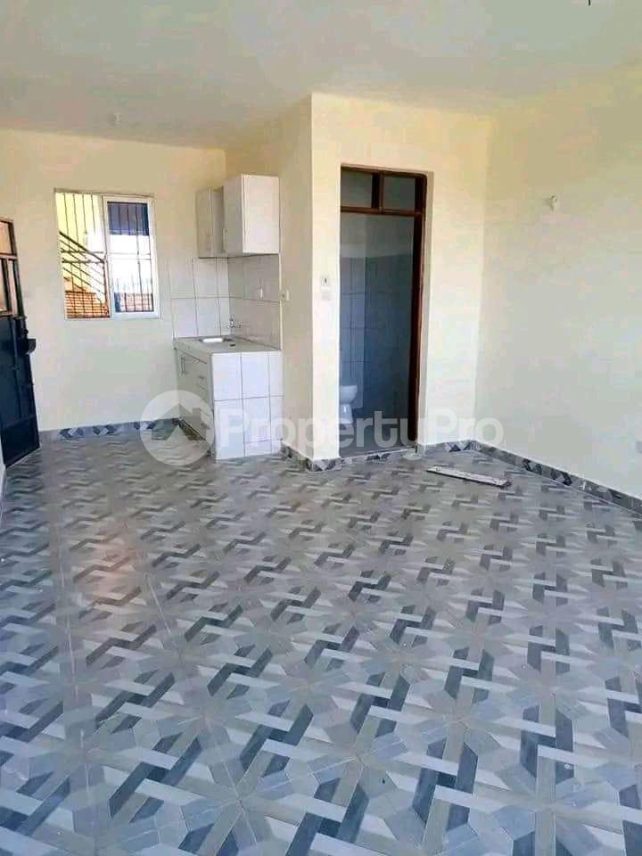 Bedsitter Flat&Apartment for rent TRM drive Roysambu Nairobi - 1