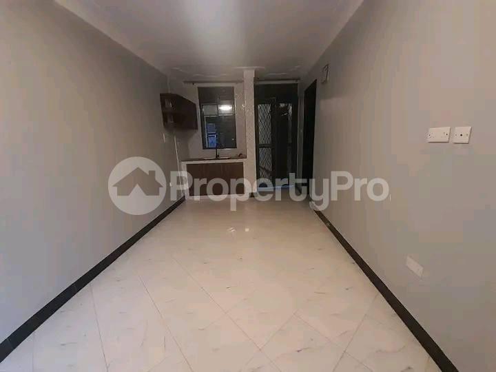 1 bedroom mini flat  Apartment Block Apartment for rent Salaama road Kampala Central - 4