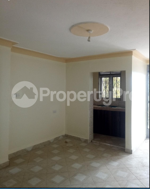 Bedsitter Flat&Apartment for rent sore road,sanasana stage South B Nairobi - 2
