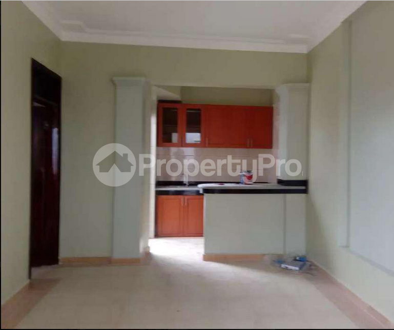 Bedsitter Flat&Apartment for rent sare road, sanasana stage, South B