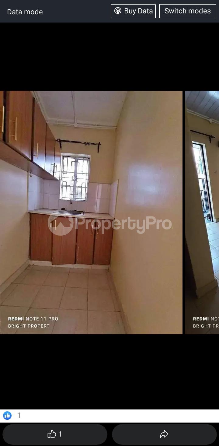 1 bedroom mini flat Flat&Apartment for rent OLE SHAPARA South C Nairobi