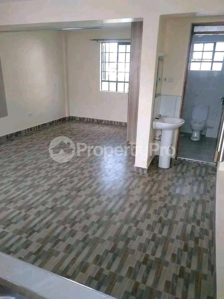 1 bedroom mini flat Bedsitter Flat&Apartment for rent Ruaraka Ruaraka