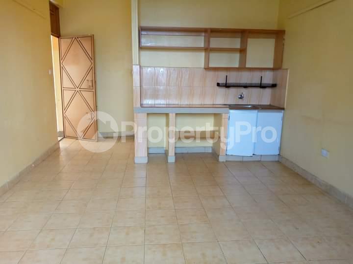 1 bedroom mini flat  Bedsitter Flat&Apartment for rent Kamakis Ruiru - 0