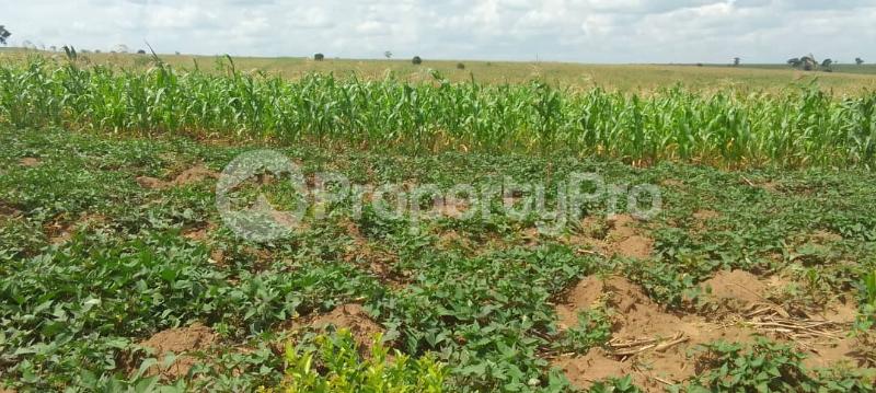 Land for sale Kikuube Kagadi Western - 0