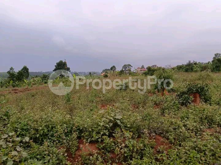 Land for sale Namugongo road  Wakiso Central - 4
