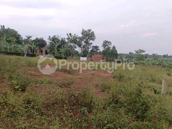 Land for sale Namugongo  Wakiso Central - 4