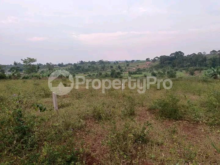 Land for sale Namugongo  Wakiso Central - 2