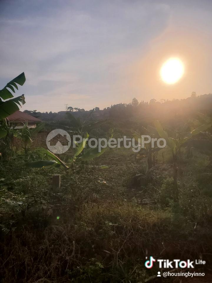 Land for sale Nsaasa  Kira Wakiso Central - 4