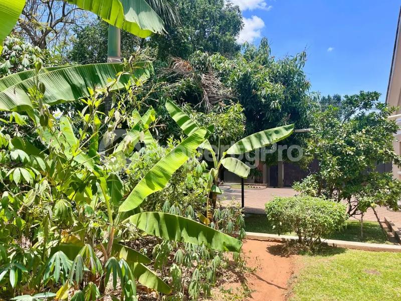 1 bedroom mini flat  Bungalow Apartment for rent Bukoto ntinda road  Bukoto Kampala Central - 6