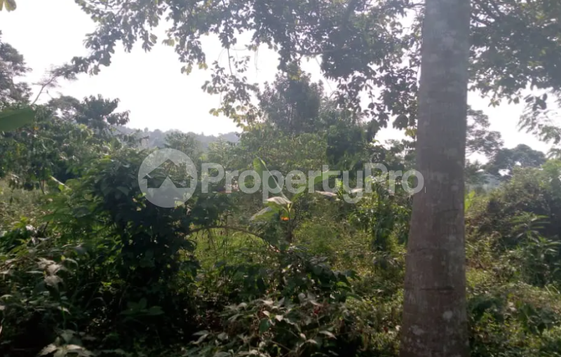 Land for sale Nakasongola Central - 1