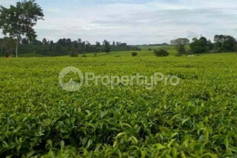 Land for sale Limuru Central Kiambu
