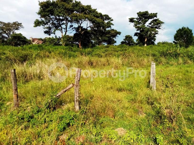 Land for sale Nyeri Nyeri (PID 0AMXP) PropertyPro