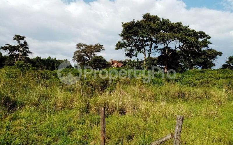 Land for sale Nyeri Nyeri (PID 0AMXP) PropertyPro