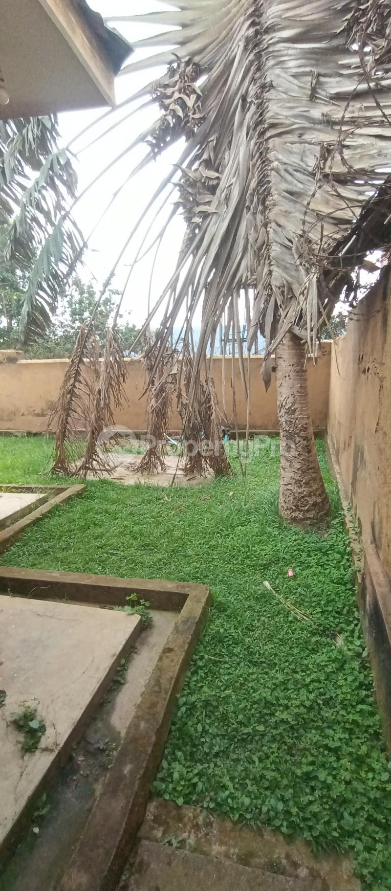 3 bedroom Bungalow Apartment for sale Namugongo road Kira Wakiso Central - 5