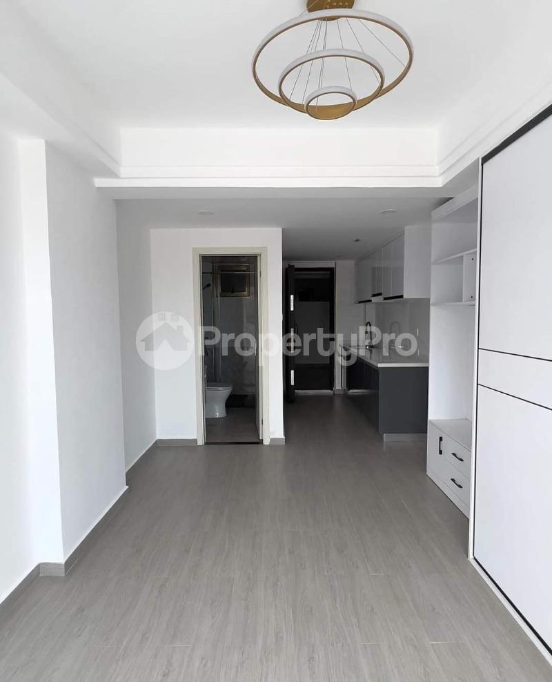 1 bedroom mini flat Bedsitter Flat&Apartment for rent Mountain View