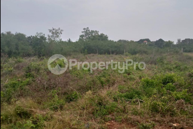 Land for sale Kwale shimba hills Msambweni Kwale (PID 5AAUS) PropertyPro