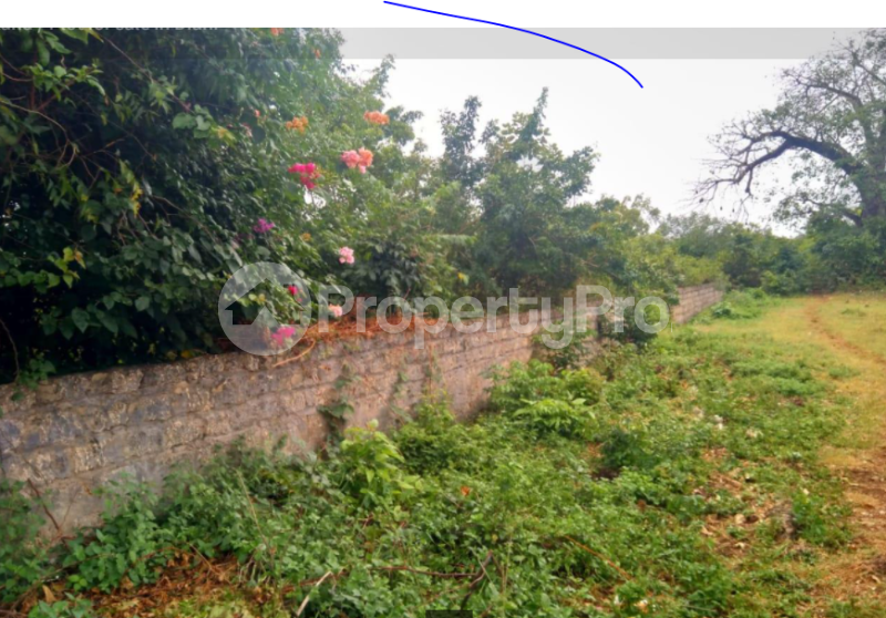 Land for sale diani beach road mombasa Diani Msambweni Kwale (PID