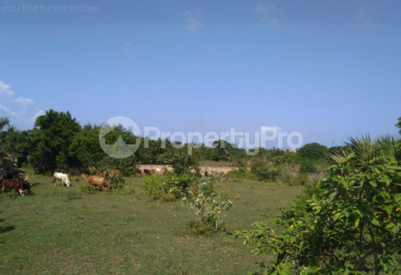 Land for sale diani beach road mombasa Diani Msambweni Kwale (PID