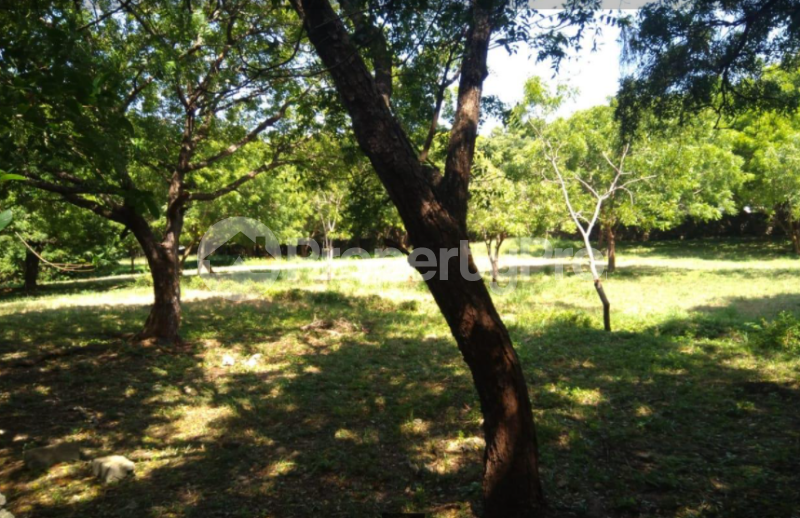 Land for sale diani beach road Diani Msambweni Kwale (PID 3AAUV