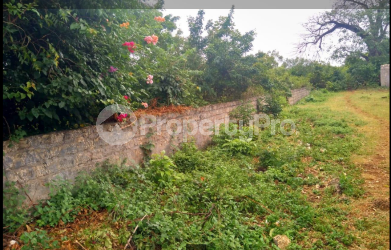 Land for sale diani beach road mombasa Diani Msambweni Kwale (PID