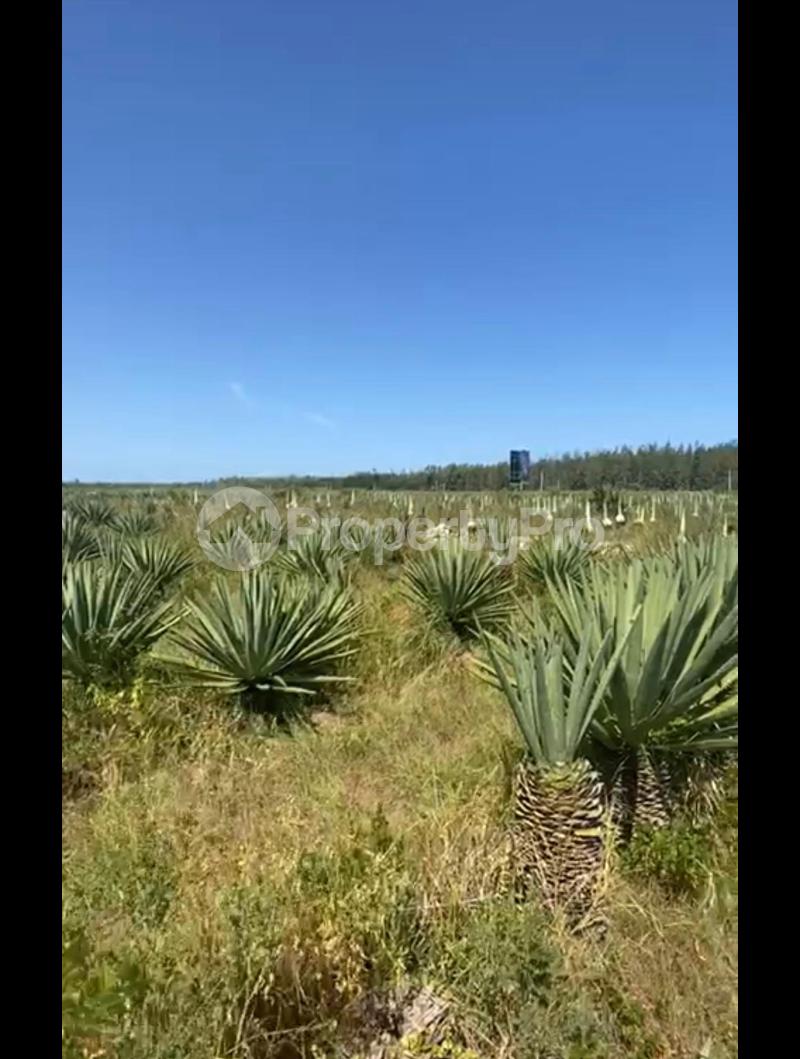 Land for sale Vipingo  Kilifi North Kilifi - 0