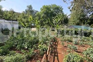 Land for sale Ngong Kajiado