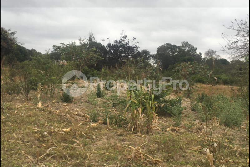Land for sale Siakago Town Embu Embu (PID 0ACLK) PropertyPro