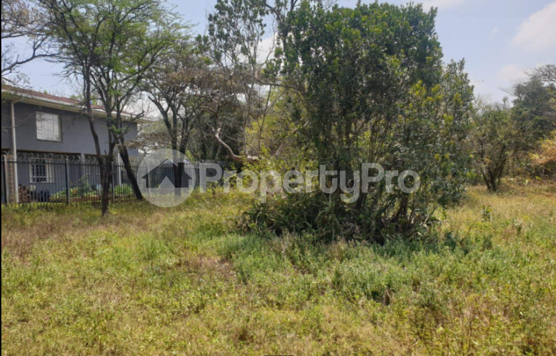 Land for sale Karen Hardy Karen Langata Nairobi (PID 0AAKL) PropertyPro