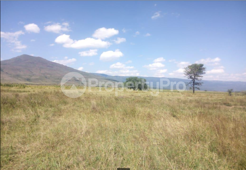 Land for sale Longonot Rd K Naivasha East Nakuru (PID 5AASD) PropertyPro