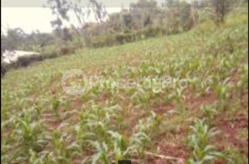 Land for sale Kemera Nyamira Borabu Nyamira (PID 6AATM) PropertyPro