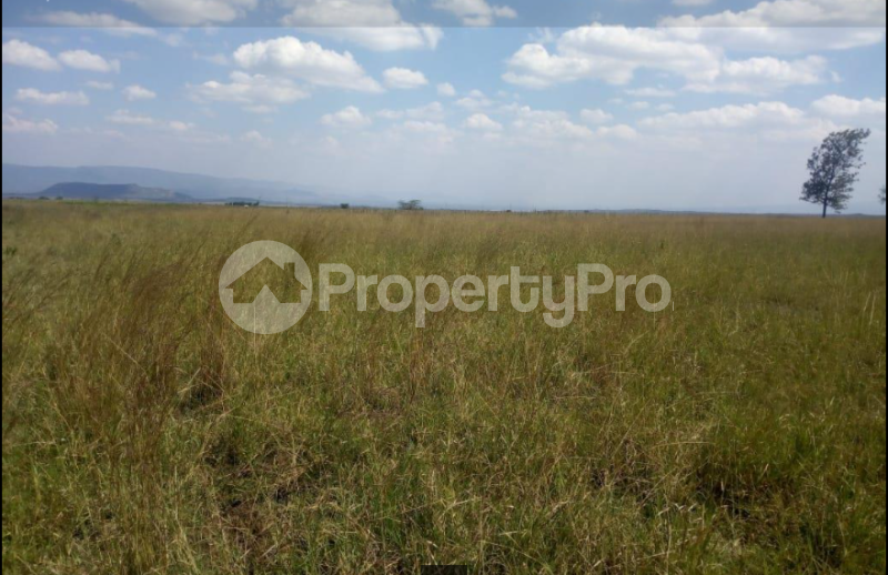 Land for sale Longonot Rd K Naivasha East Nakuru