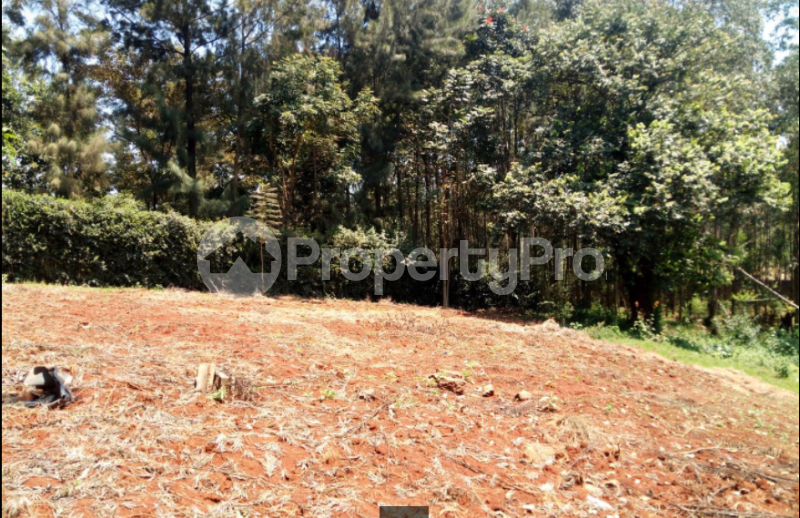 Land for sale Runda mumwe Runda Westlands Nairobi