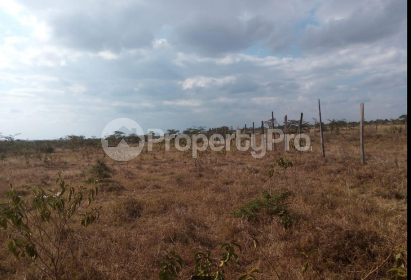 Land for sale Narok North Narok (PID 8AAXL) PropertyPro