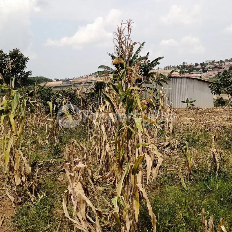 Land for sale Namanve industrial Park  Kampala Central Kampala Central - 4
