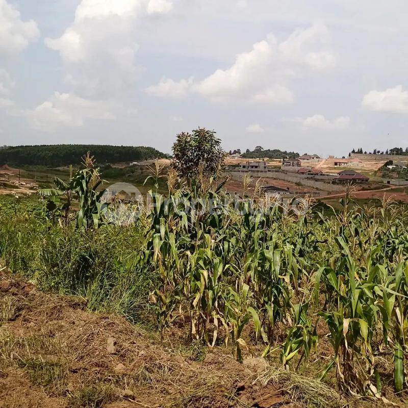 Land for sale Namanve industrial Park  Kampala Central Kampala Central - 2