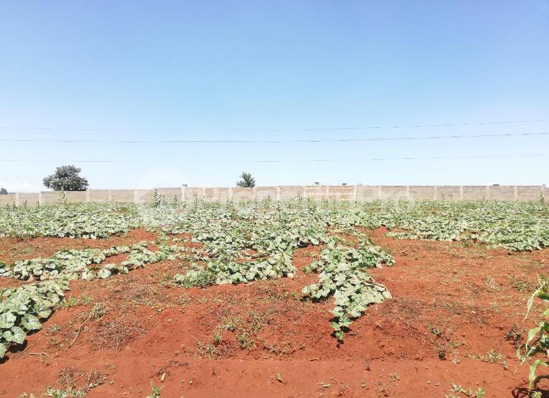 Land for sale Nairobi, Runda Runda Nairobi (PID 9ACTH) PropertyPro