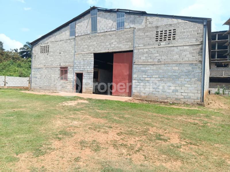 Commercial Property for sale Jinja road namawoojjolo  Mukono Mukono Central - 5