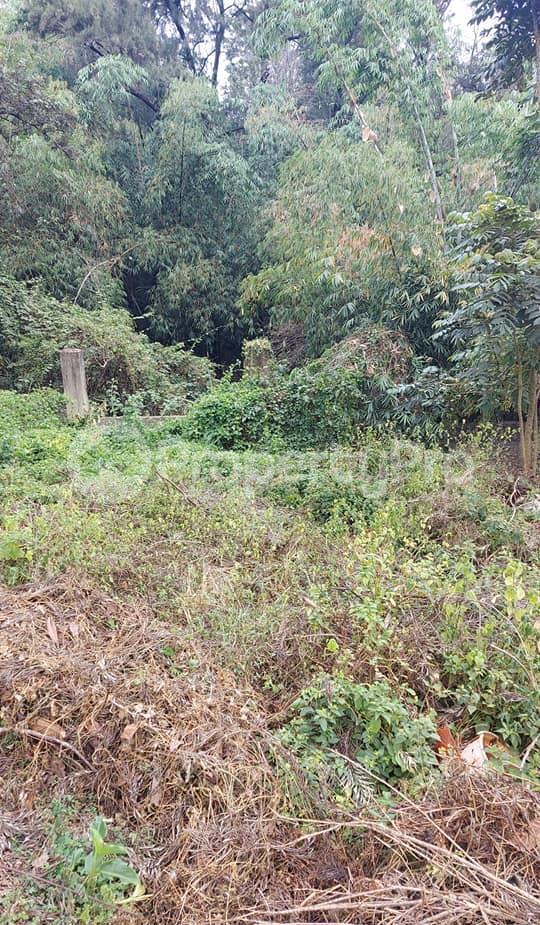Land for sale Riverside Drive Road, Riverside, Nairobi Riverside