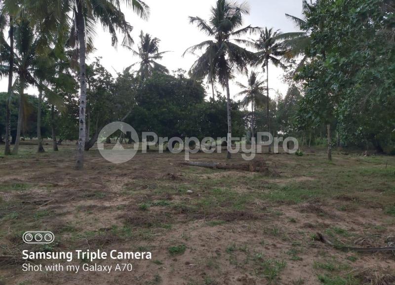 Land for sale Kilifi, Kilifi Kilifi Kilifi (PID 6ACXT) PropertyPro