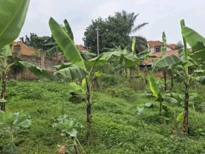 Land for sale Naalya  Kampala Central Kampala Central